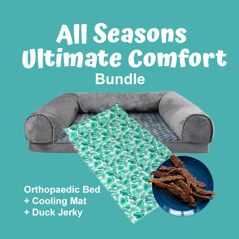 SeniorPaws™ All Seasons Ultimate Comfort Bundle