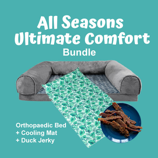 SeniorPaws™ All Seasons Ultimate Comfort Bundle
