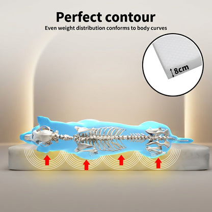 SeniorPaws™ Premium Orthopaedic Dog Bed